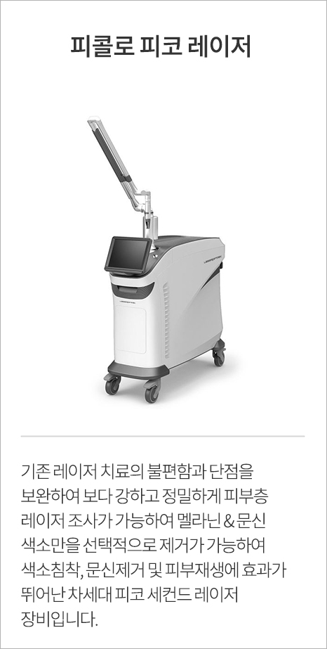 피클로 피코 레이저