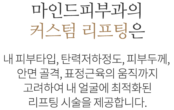 커스텀 리프팅
