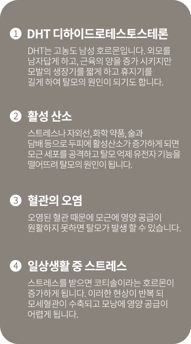 탈모의 원인