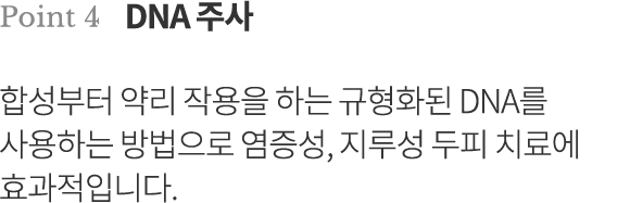 point4