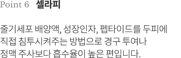 point6