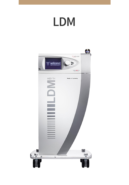 LDM