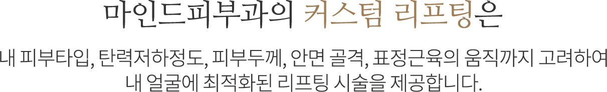 커스텀 리프팅