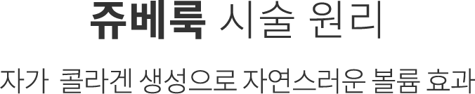 쥬베룩 핵심기술