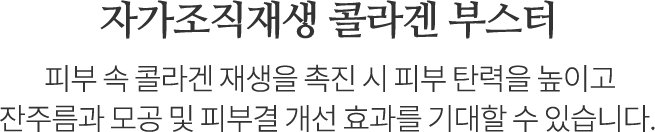 쥬베룩 핵심기술