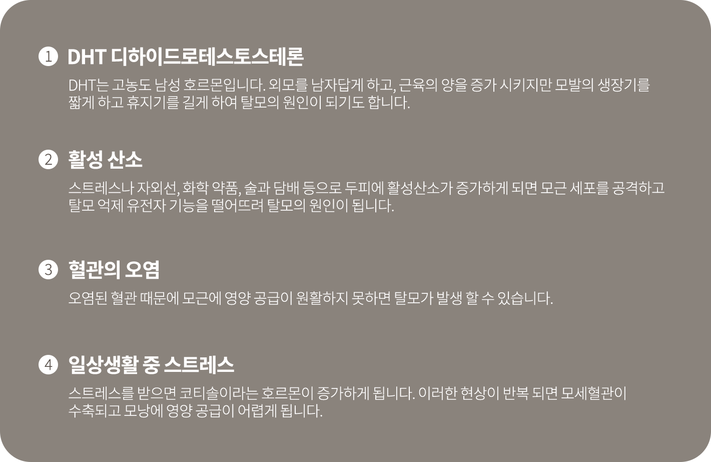 탈모의 원인