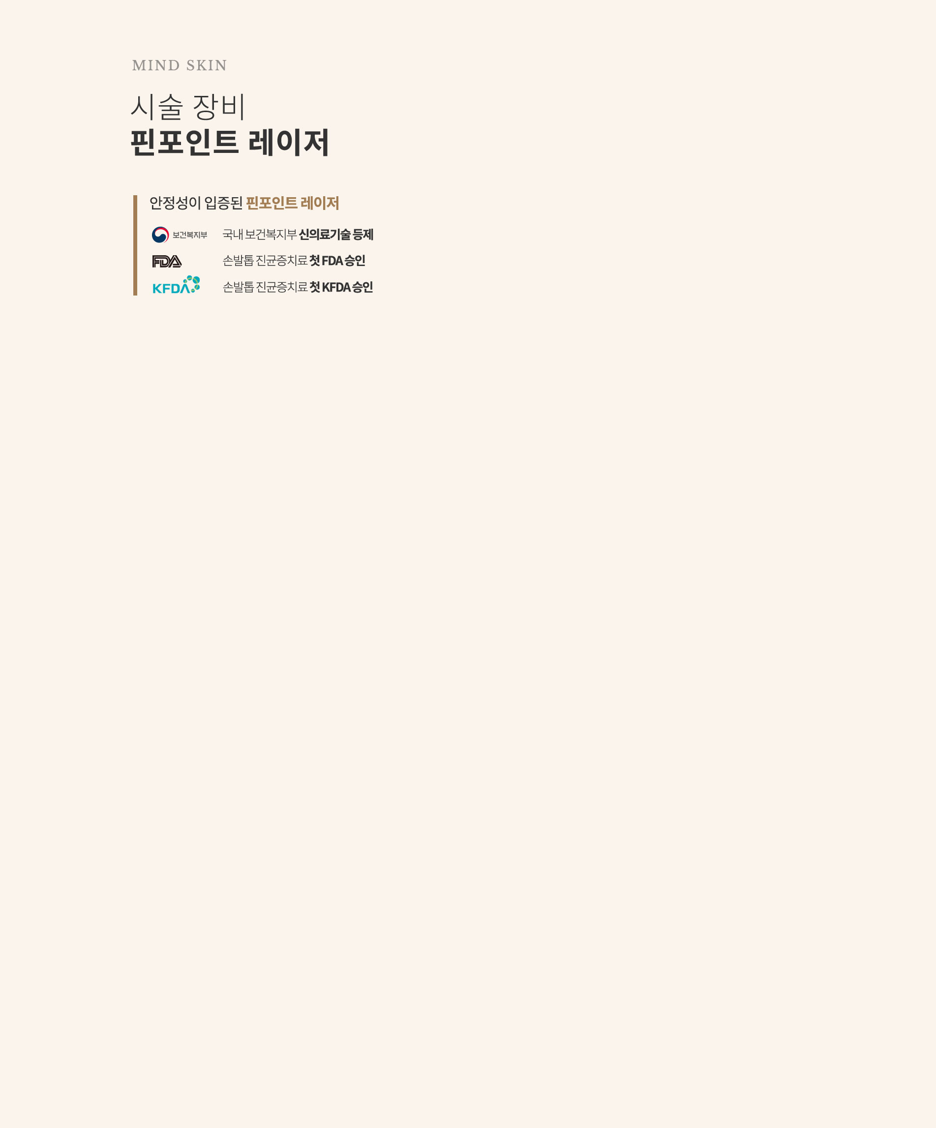 핀포인트 레이저